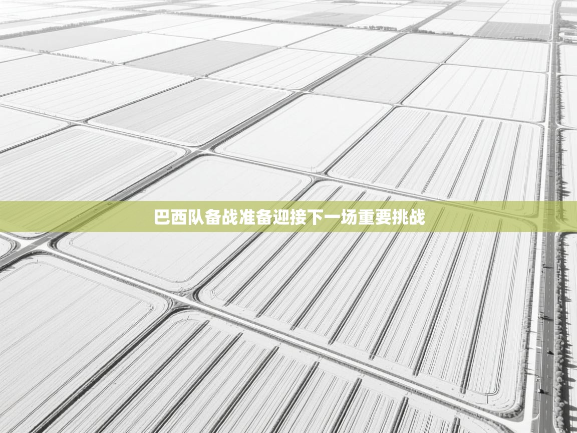 巴西队备战准备迎接下一场重要挑战  第2张