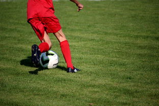 爱游戏ayx-基层足球赛事体系未形成闭环，足球联赛实施方案  第2张